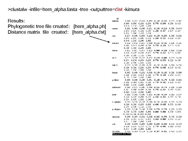 >clustalw -infile=hem_alpha. fasta -tree -outputtree=dist -kimura Results: Phylogenetic tree file created: [hem_alpha. ph] Distance