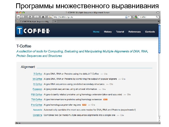 Программы множественного выравнивания 