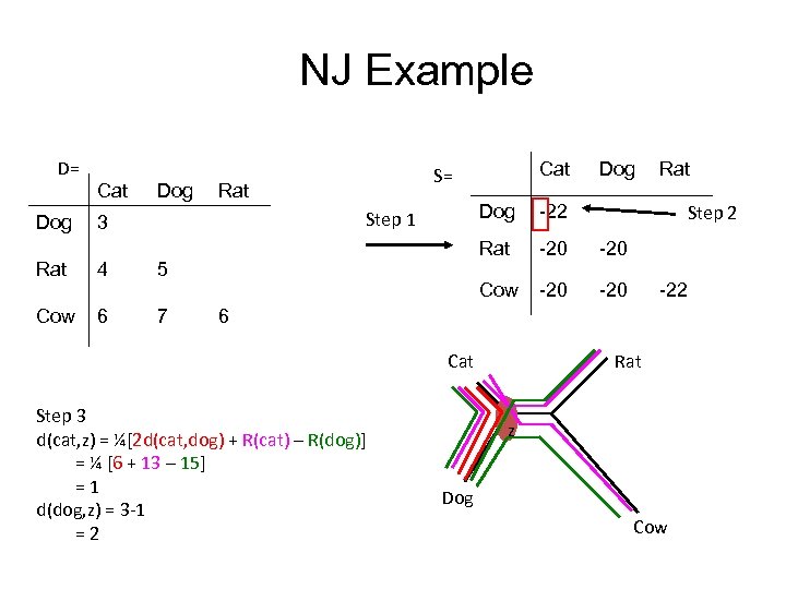 NJ Example D= Dog Cat Dog Rat 4 6 7 -20 Cow -20 Rat