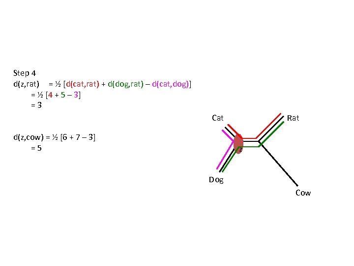 Step 4 d(z, rat) = ½ [d(cat, rat) + d(dog, rat) – d(cat, dog)]