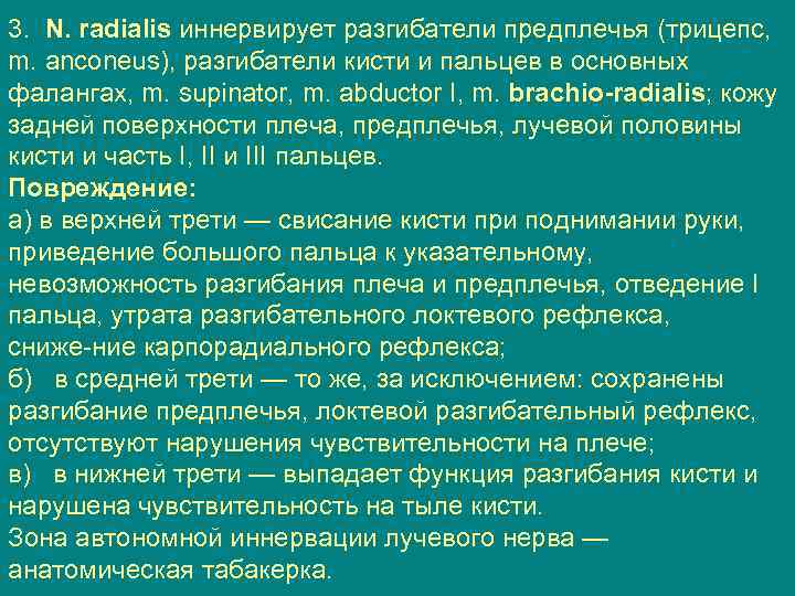 3. N. radialis иннервирует разгибатели предплечья (трицепс, m. anconeus), разгибатели кисти и пальцев в