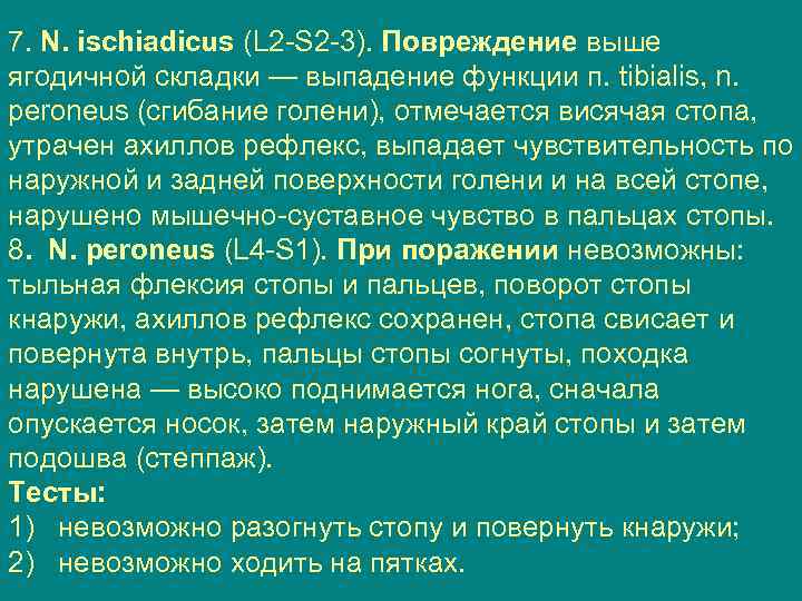 7. N. ischiadicus (L 2 S 2 3). Повреждение выше ягодичной складки — выпадение