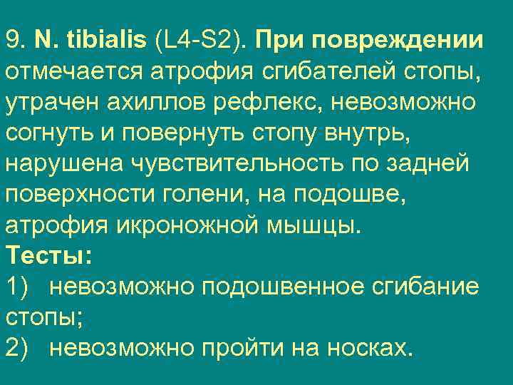 9. N. tibialis (L 4 S 2). При повреждении отмечается атрофия сгибателей стопы, утрачен