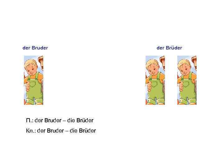 der Bruder П. : der Bruder – die Brüder Кл. : der Bruder –