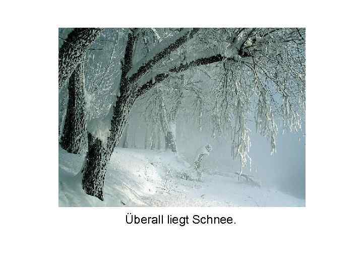 Überall liegt Schnee. 