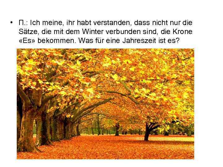  • П. : Ich meine, ihr habt verstanden, dass nicht nur die Sätze,