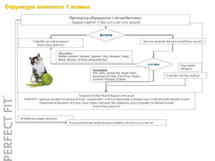 Структура контакта 1 волны Промоутер обращается к потребителям: - Здравствуйте! У Вас есть кот