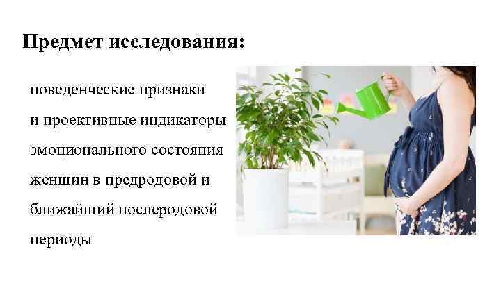 Предмет исследования: поведенческие признаки и проективные индикаторы эмоционального состояния женщин в предродовой и ближайший