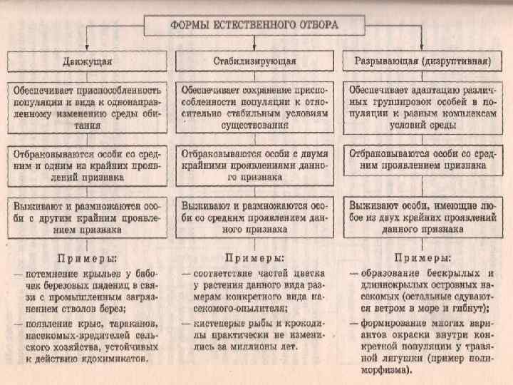 Формы естественного отбора таблица с графиками