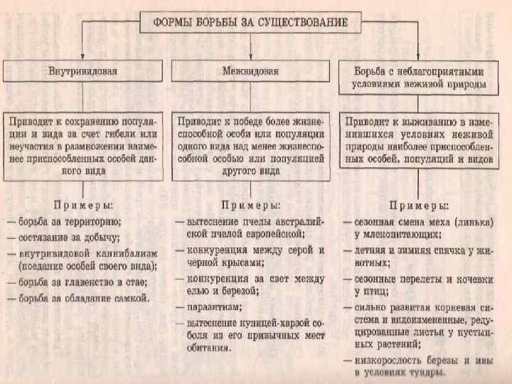 Назвать формы борьбы за существование. Таблица форма борьбы за существование характеристика примеры. Таблица по биологии формы борьбы за существование. Формы борьбы за существование таблица с примерами. Характеристика форм борьбы за существование.