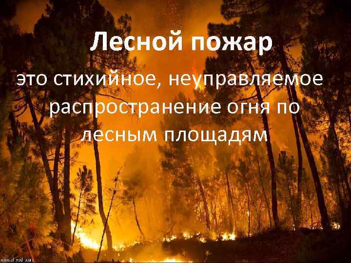 Лесной пожар это стихийное, неуправляемое распространение огня по лесным площадям 