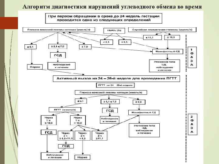 Алгоритм диагностики нарушений углеводного обмена во время беременности. 