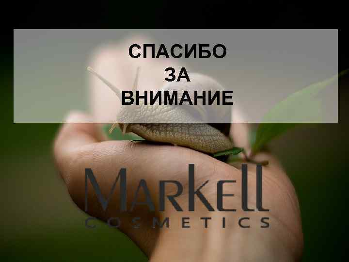 СПАСИБО ЗА ВНИМАНИЕ 