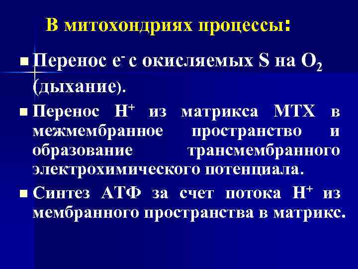 В митохондриях процессы: n Перенос е- с окисляемых S на О 2 (дыхание). n