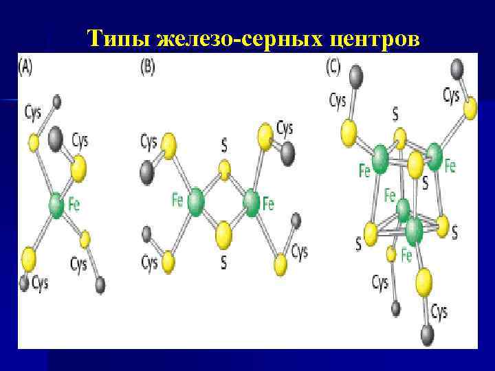 Типы железо-серных центров 