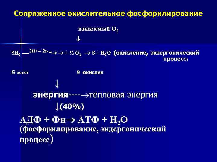 Сопряженное окислительное фосфорилирование вдыхаемый О 2 - SH 2 ----2 Н+-- 2 е- +