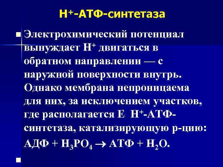 Н+-АТФ-синтетаза n Электрохимический потенциал вынуждает Н+ двигаться в обратном направлении — с наружной поверхности