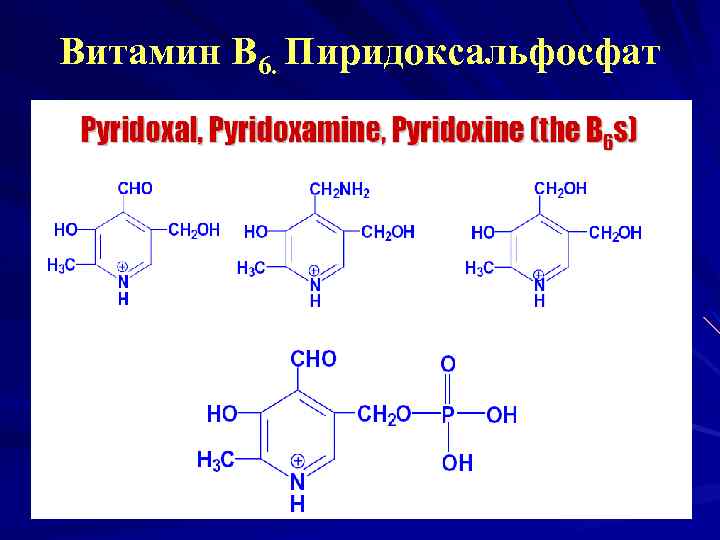 Витамин В 6. Пиридоксальфосфат 