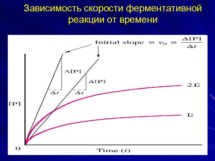 Зависимость скорости ферментативной реакции от времени 