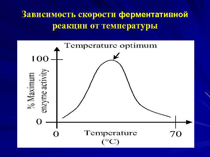 Зависимость скорости реакции