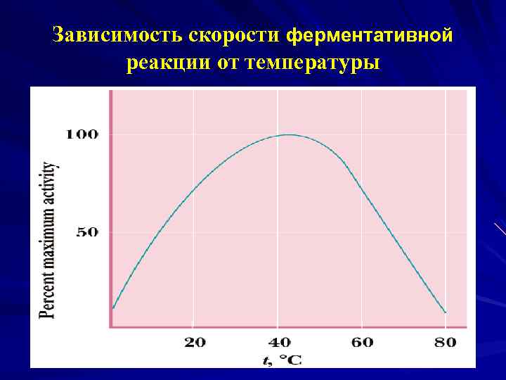 Зависимость скорости ферментативной реакции от температуры 