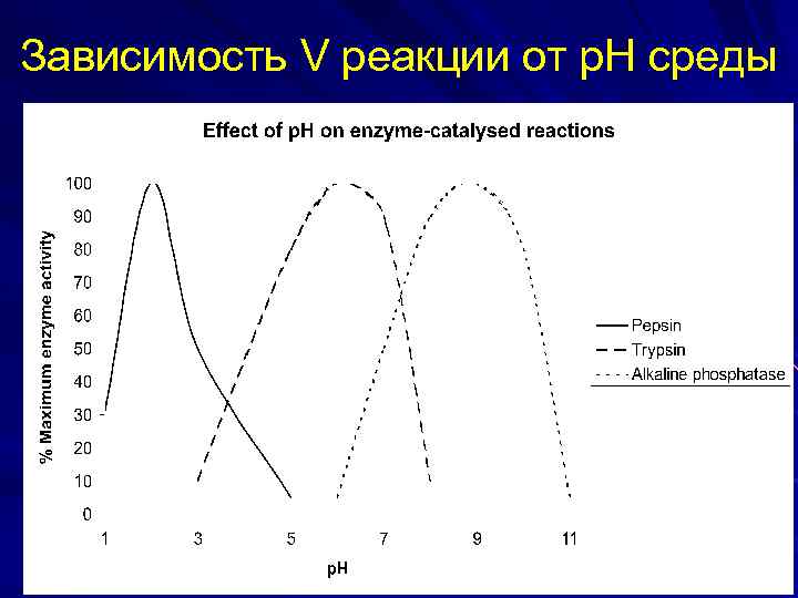 Зависимость V реакции от р. Н среды 