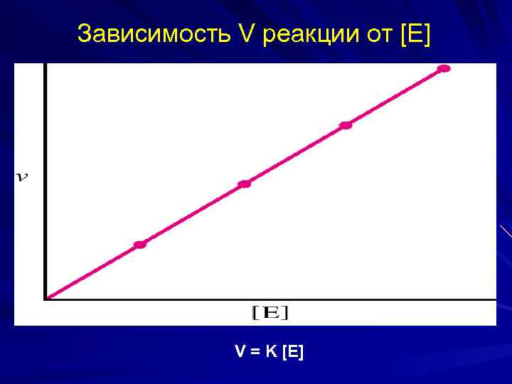 Зависимость V реакции от [E] V = K [E] 