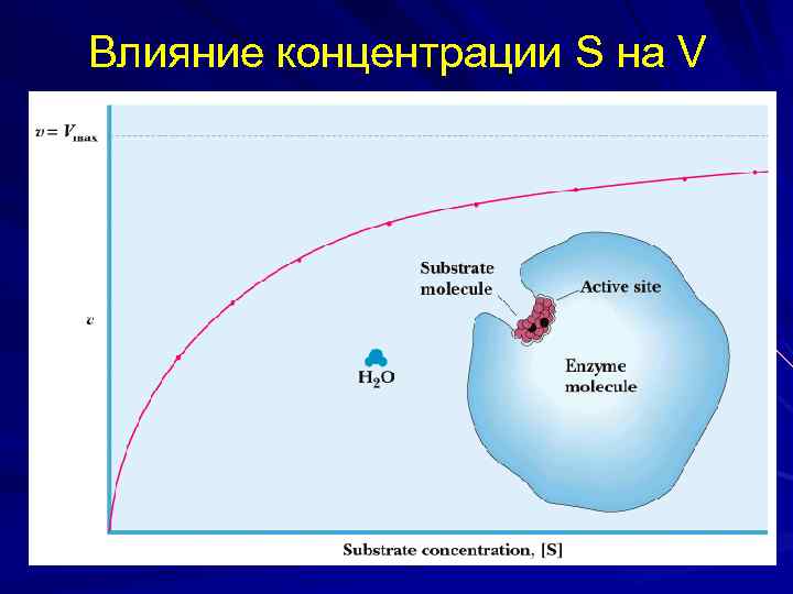 Влияние концентрации S на V 