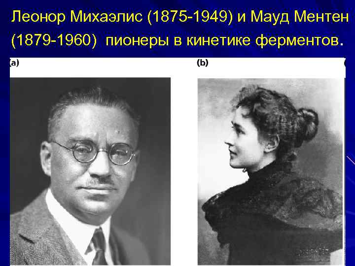 Леонор Mихаэлис (1875 -1949) и Мауд Meнтен (1879 -1960) пионеры в кинетике ферментов. 