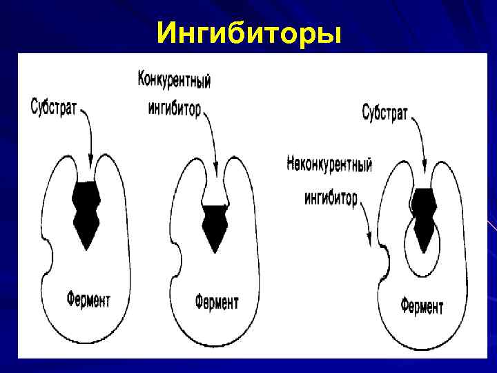 Ингибиторы 