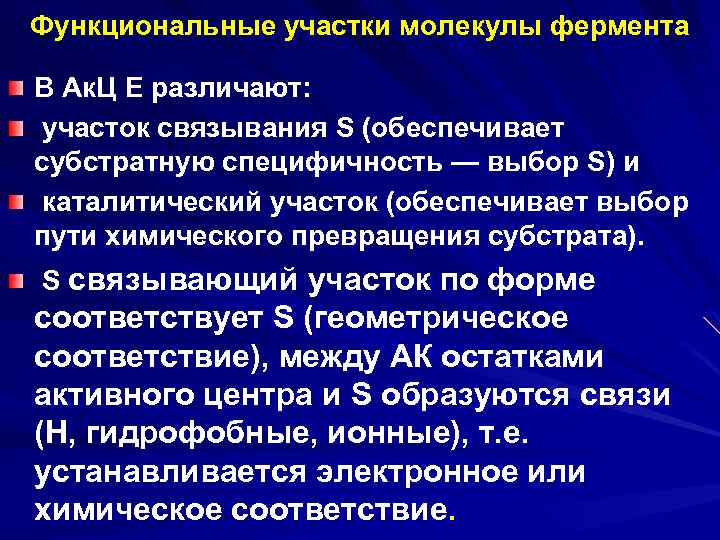 Функциональные участки молекулы фермента В Ак. Ц Е различают: участок связывания S (обеспечивает субстратную