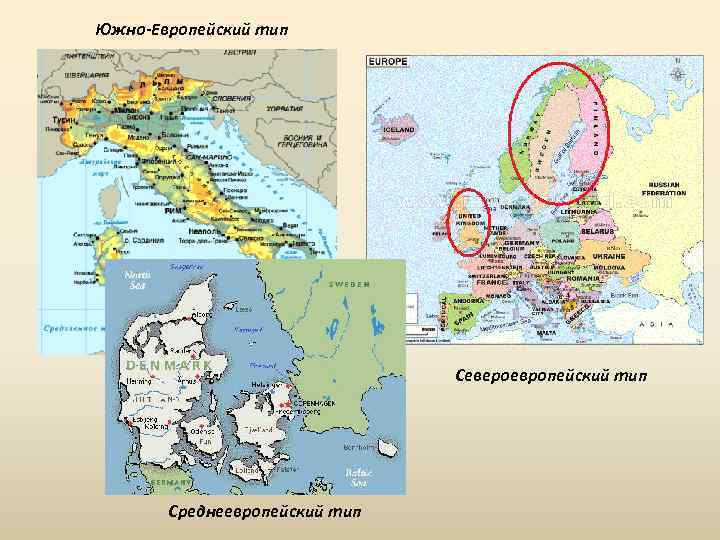 Южно-Европейский тип Североевропейский тип Среднеевропейский тип 