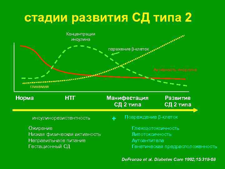 стадии развития СД типа 2 Концентрация инсулина поражение -клеток Активность инсулина гликемия Норма НТГ