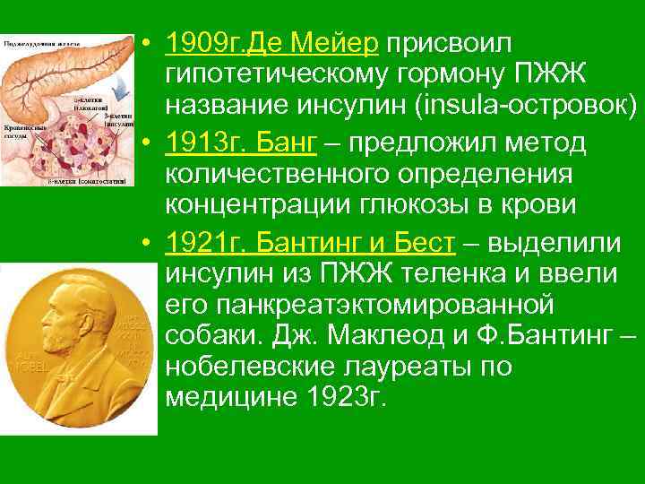  • 1909 г. Де Мейер присвоил гипотетическому гормону ПЖЖ название инсулин (insula-островок) •