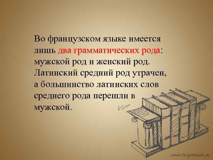 Во французском языке имеется лишь два грамматических рода: мужской род и женский род. Латинский