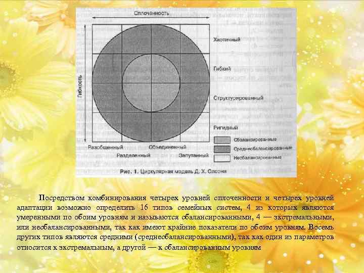  Посредством комбинирования четырех уровней сплоченности и четырех уровней адаптации возможно определить 16 типов