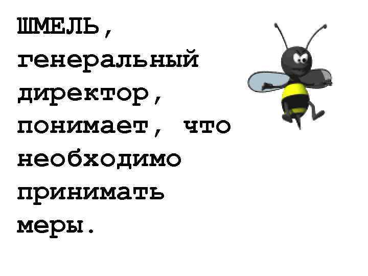 ШМЕЛЬ, генеральный директор, понимает, что необходимо принимать меры. 