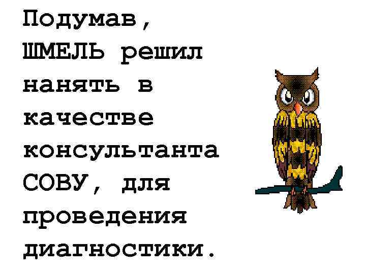 Подумав, ШМЕЛЬ решил нанять в качестве консультанта СОВУ, для проведения диагностики. 