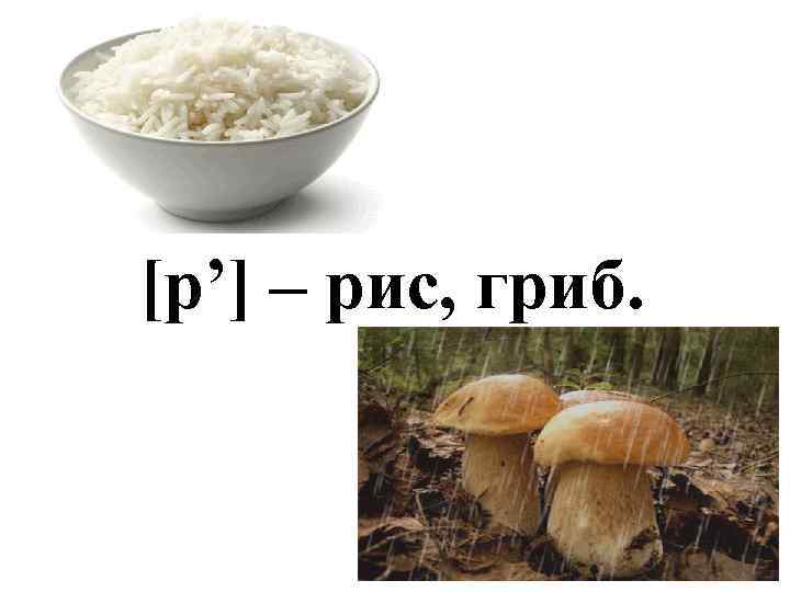 [р’] – рис, гриб. 