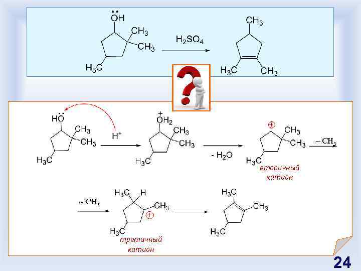 ~ СH 3 вторичный катион ~ СH 3 третичный катион 24 