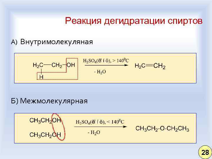 Реакция дегидратации спиртов А) Внутримолекуляная Б) Межмолекулярная 28 