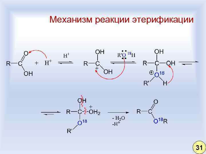 Механизм получать. Механизм реакции этерификации. Синтез бутилацетата механизм реакции. Механизм этерификации sn1 или sn2. Механизм этерификации спиртов.