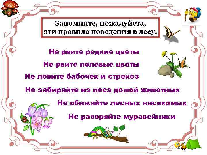 Запомните, пожалуйста, эти правила поведения в лесу. Не рвите редкие цветы Не рвите полевые