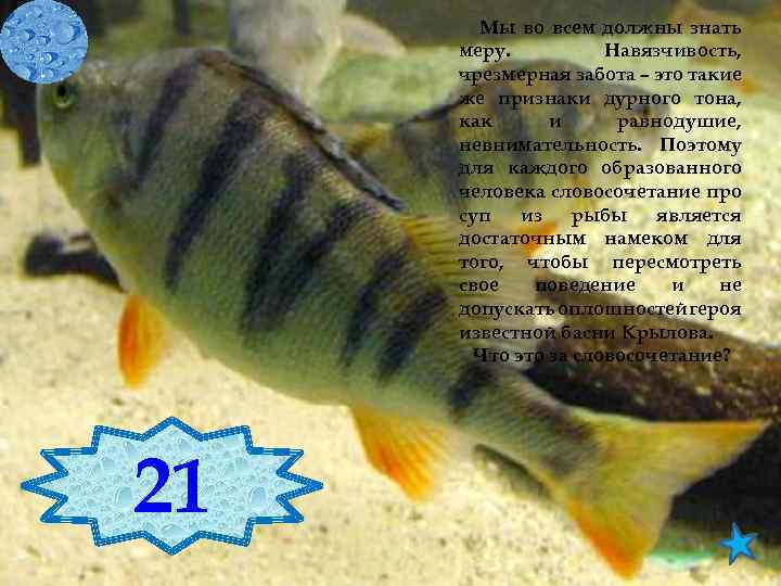 Мы во всем должны знать меру. Навязчивость, чрезмерная забота – это такие же признаки