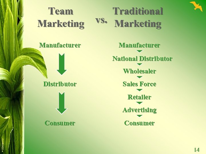 Team Marketing Manufacturer Traditional vs. Marketing Manufacturer National Distributor Wholesaler Distributor Sales Force Retailer