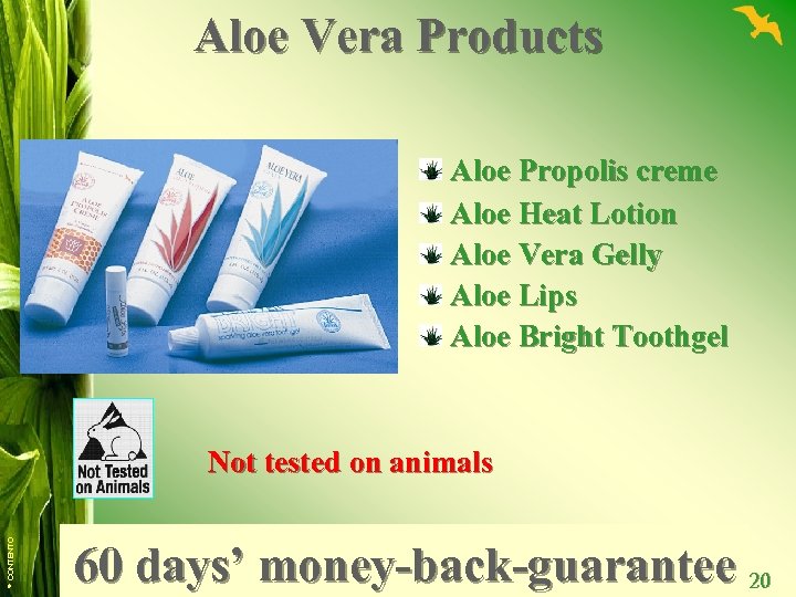 Aloe Vera Products Aloe Propolis creme Aloe Heat Lotion Aloe Vera Gelly Aloe Lips