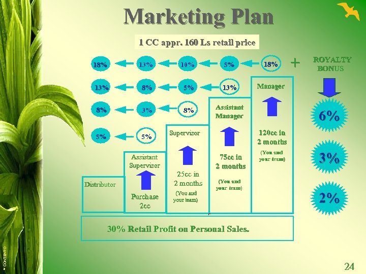 Marketing Plan 1 CC appr. 160 Ls retail price 18% 13% 10% 5% 18%