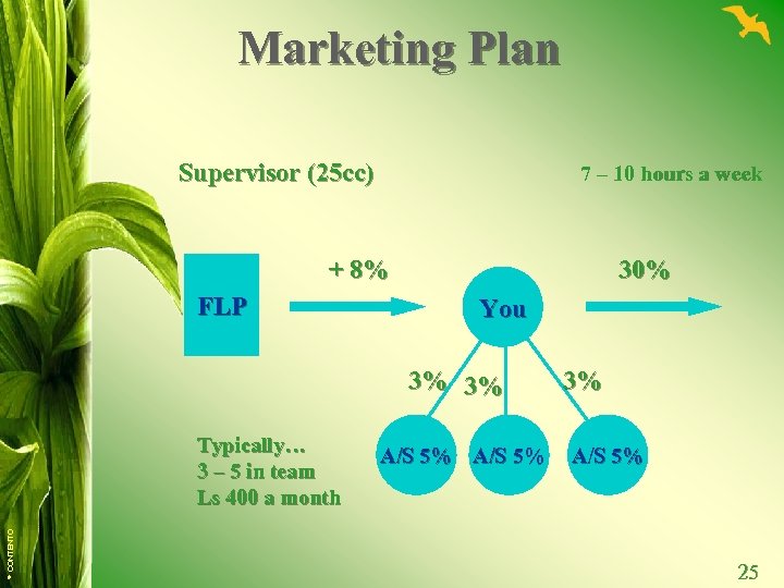 Marketing Plan Supervisor (25 cc) 7 – 10 hours a week + 8% FLP