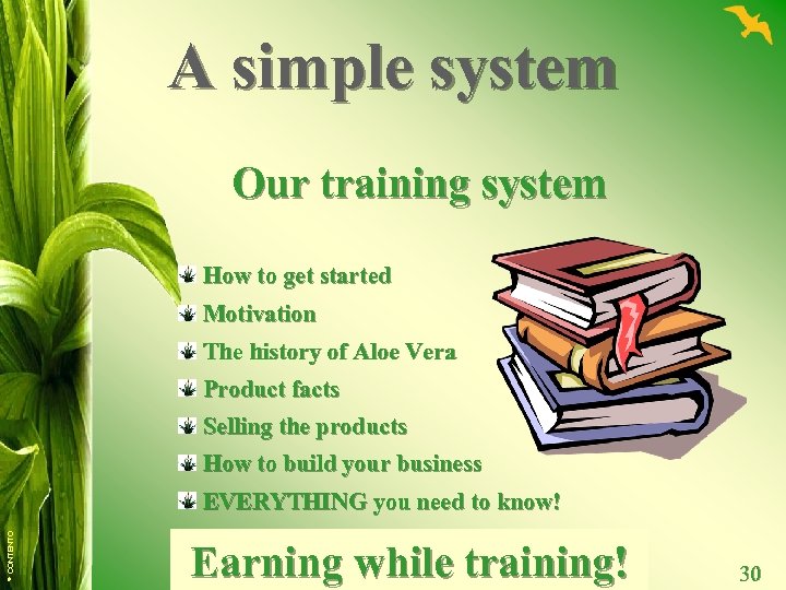 A simple system Our training system How to get started Motivation The history of