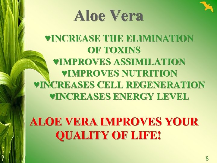 Aloe Vera ♥INCREASE THE ELIMINATION OF TOXINS ♥IMPROVES ASSIMILATION ♥IMPROVES NUTRITION ♥INCREASES CELL REGENERATION